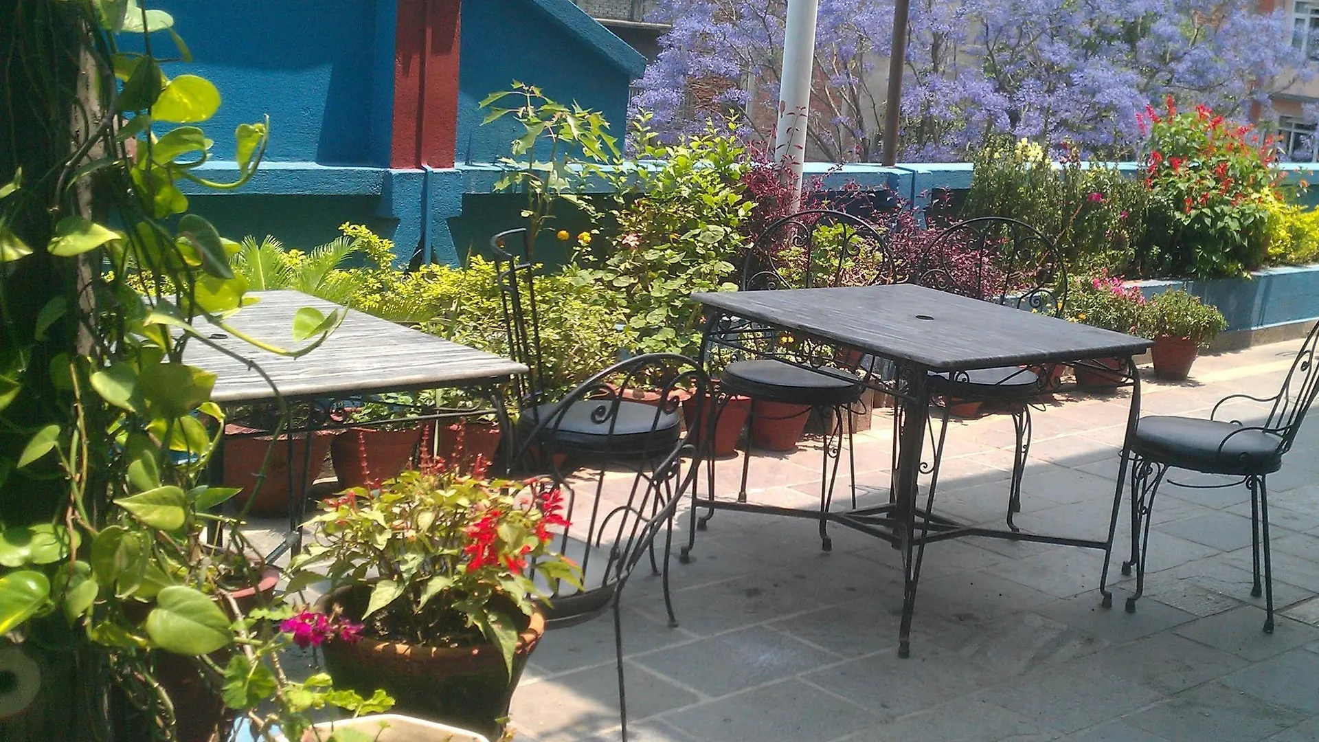 קטמנדו Hotel Tayoma
